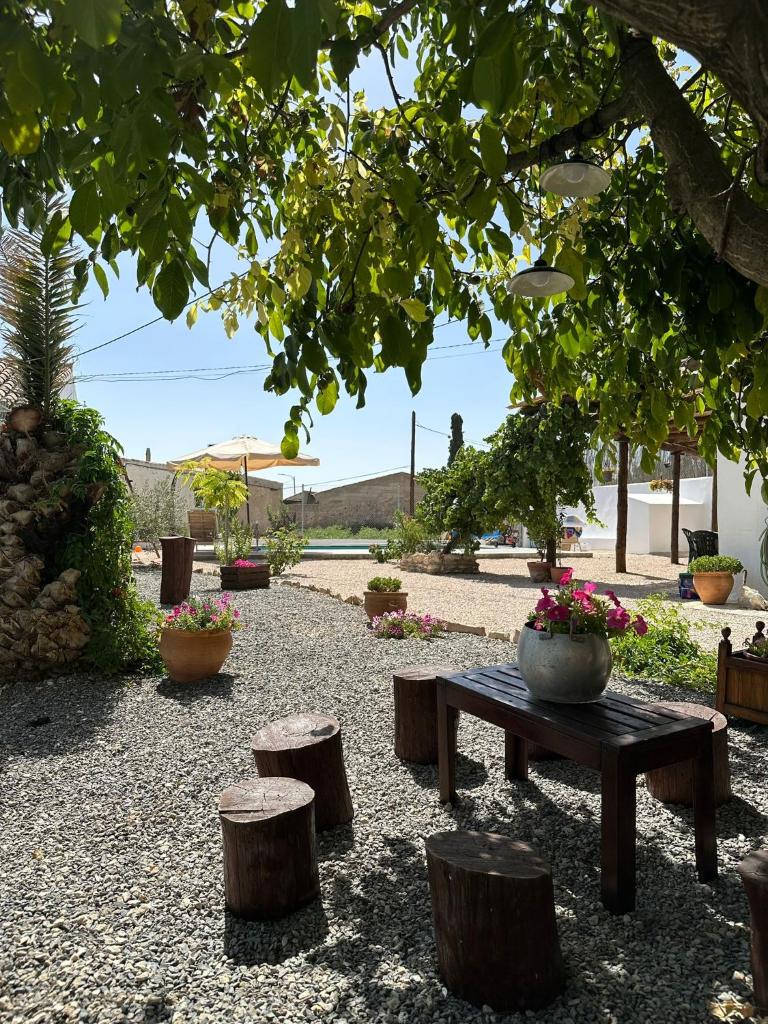 Casa El Chorreador photo 4