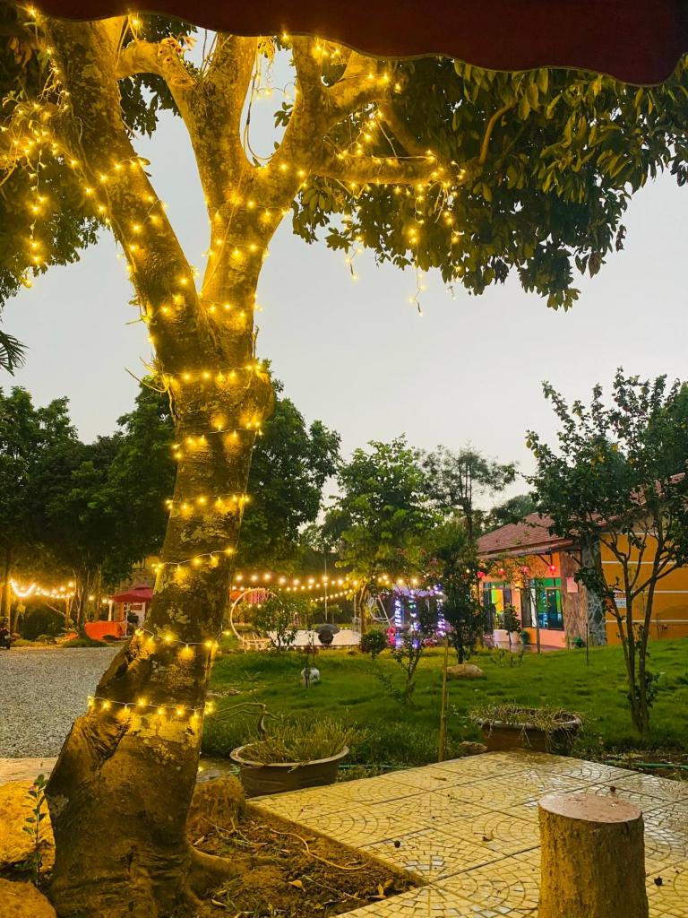 Homestay Bài Văn garden photo 2
