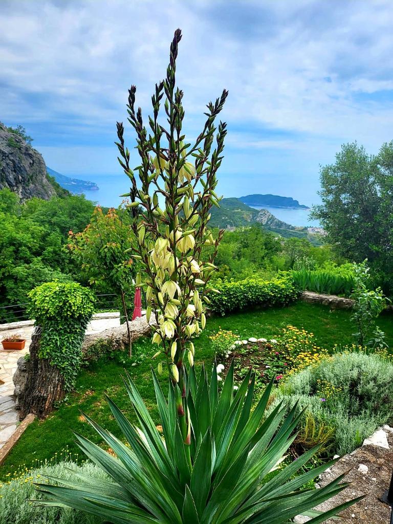 Villa Nera photo 3