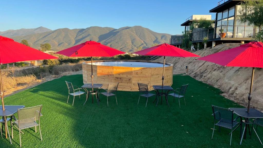 ALO Valle de Guadalupe photo 4