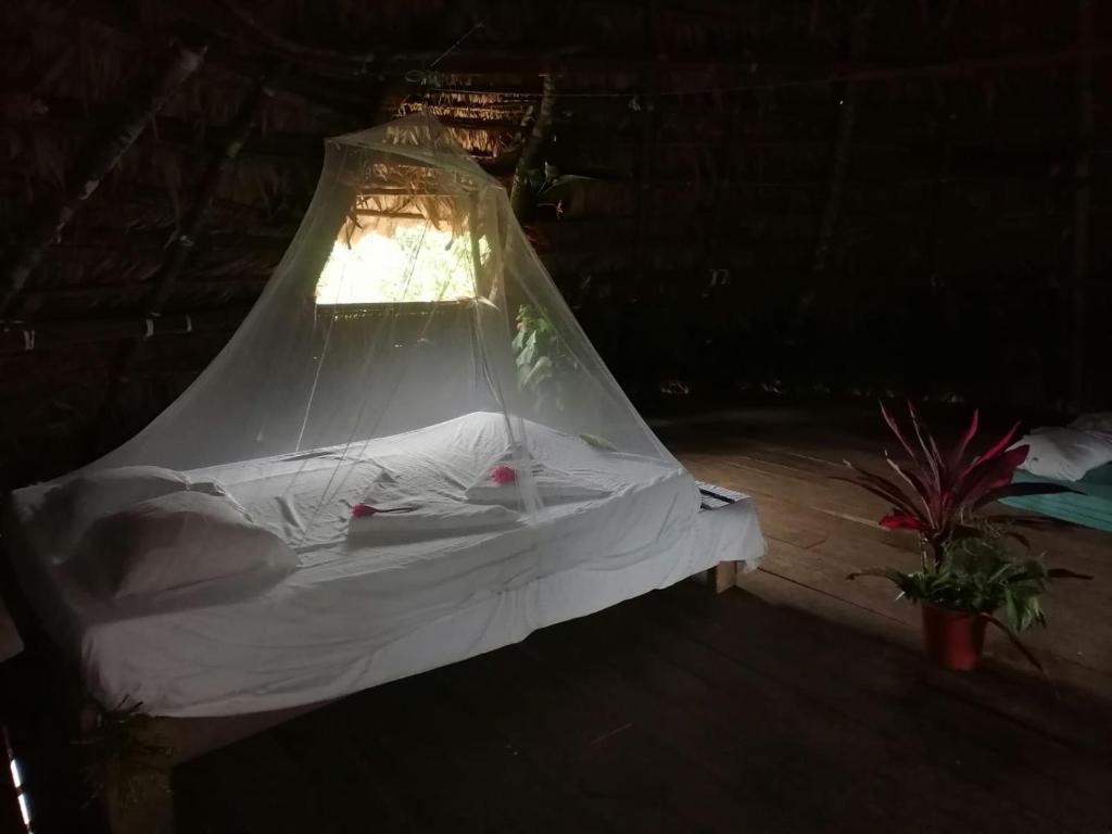Ditsowou Lodge & Tours photo 2