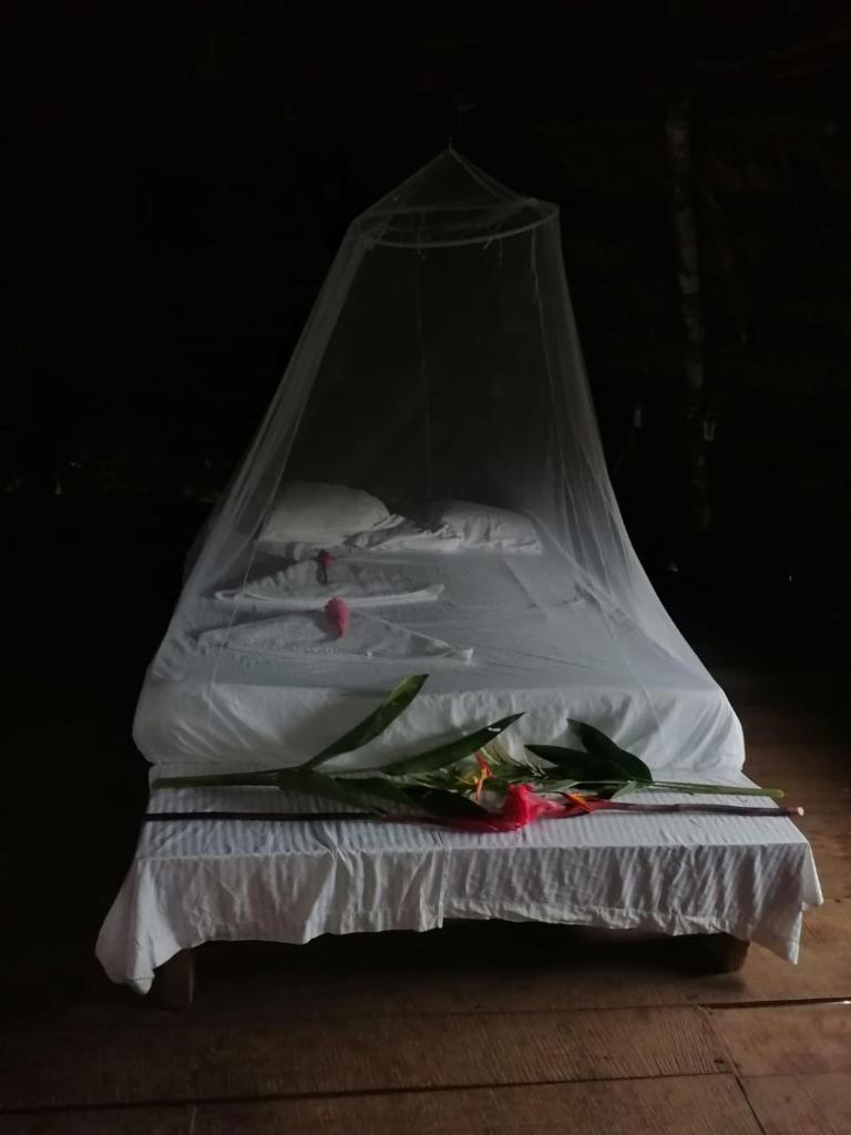 Ditsowou Lodge & Tours