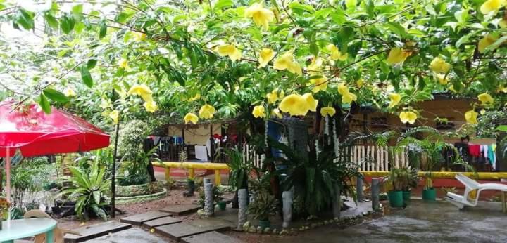 Ennas Place photo 1