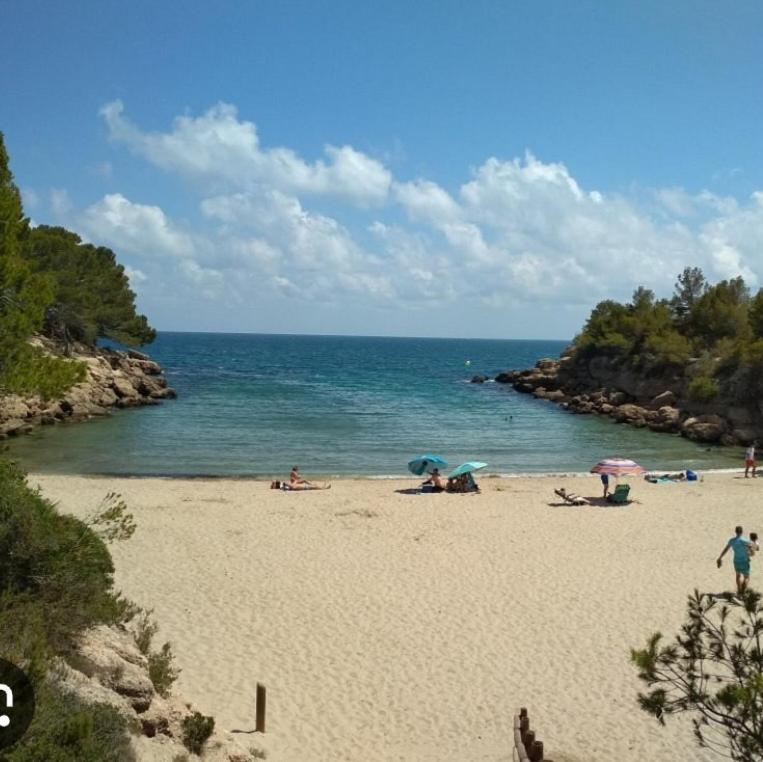 CHALET CALAFAT photo 4
