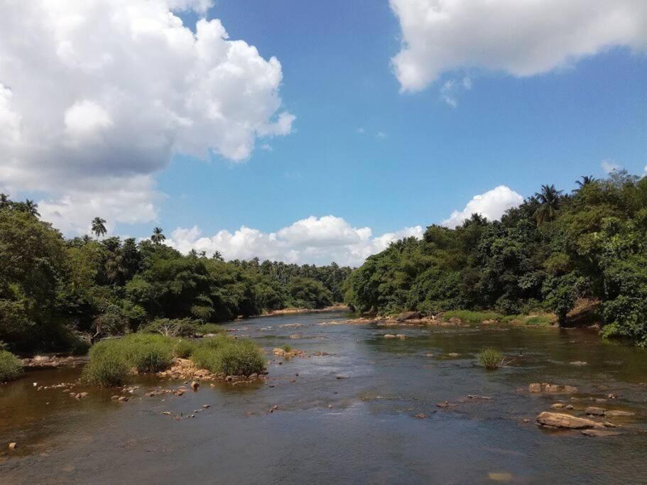 Villa Verde Alawwa photo 2