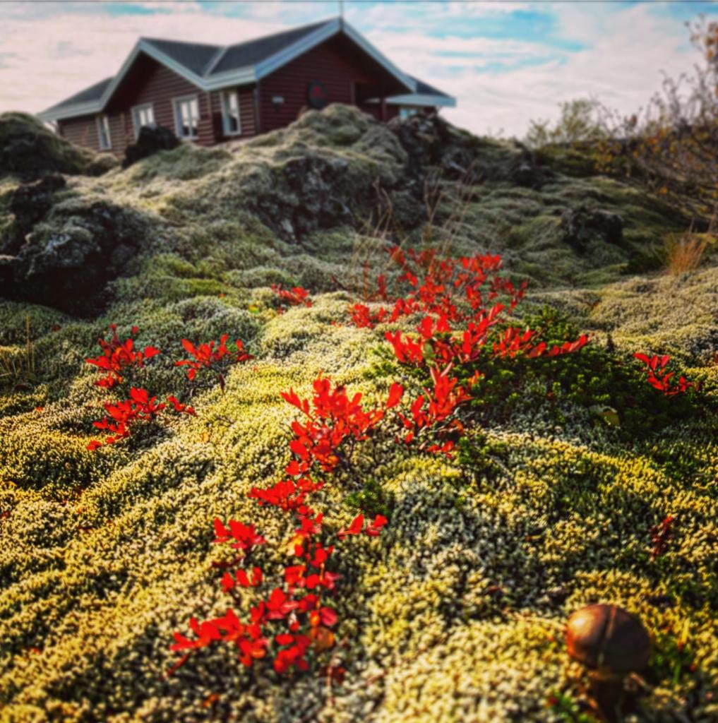 House in lava photo 1