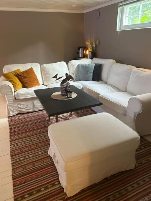 Basement apartment photo 1