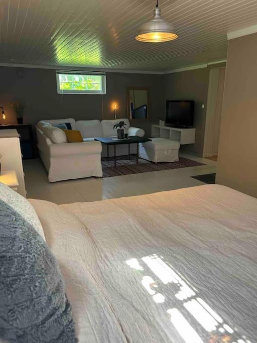 Basement apartment photo 3