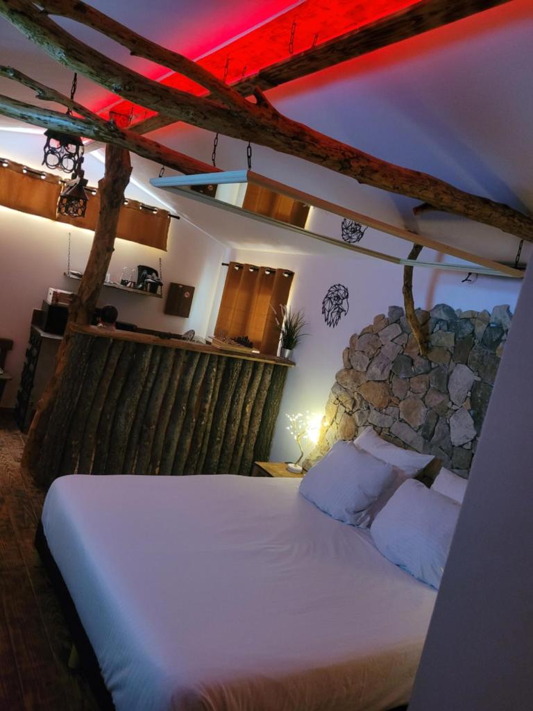 LOVE Room Danslesbois avec spa photo 3