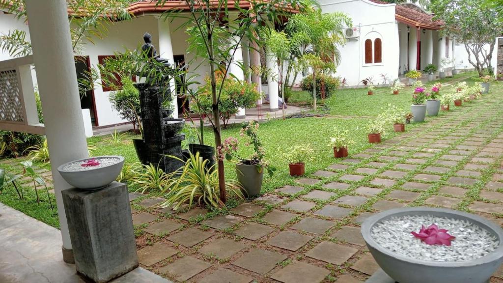 Balapitiya Ayuruveda Villa Dreams Tree photo 3
