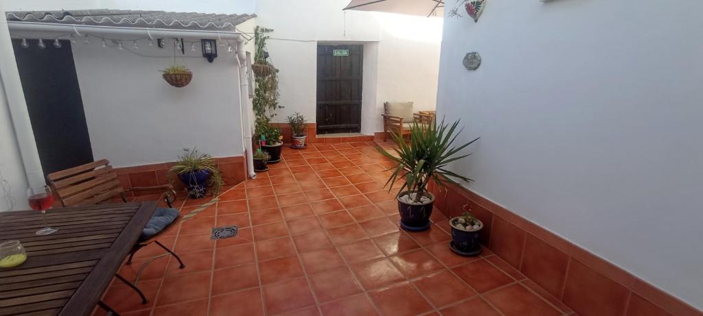 Casa Rural Olivares photo 4