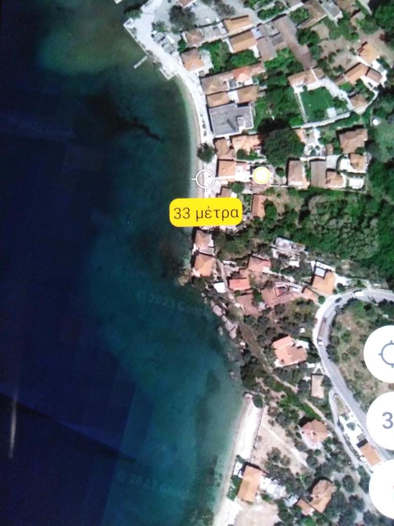 Epavli Sofia' s two Apartments in Horto, 30m from the sea photo 2