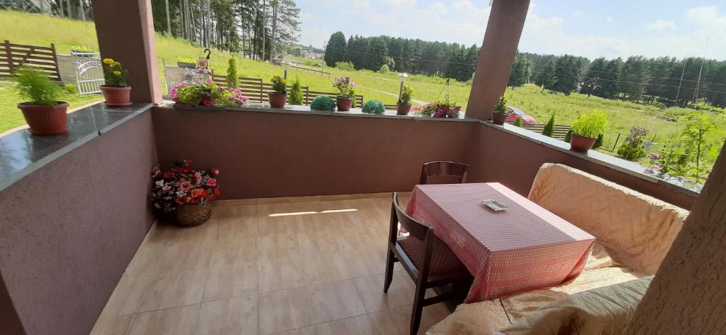 PrenocisteMelinaSjenica photo 3