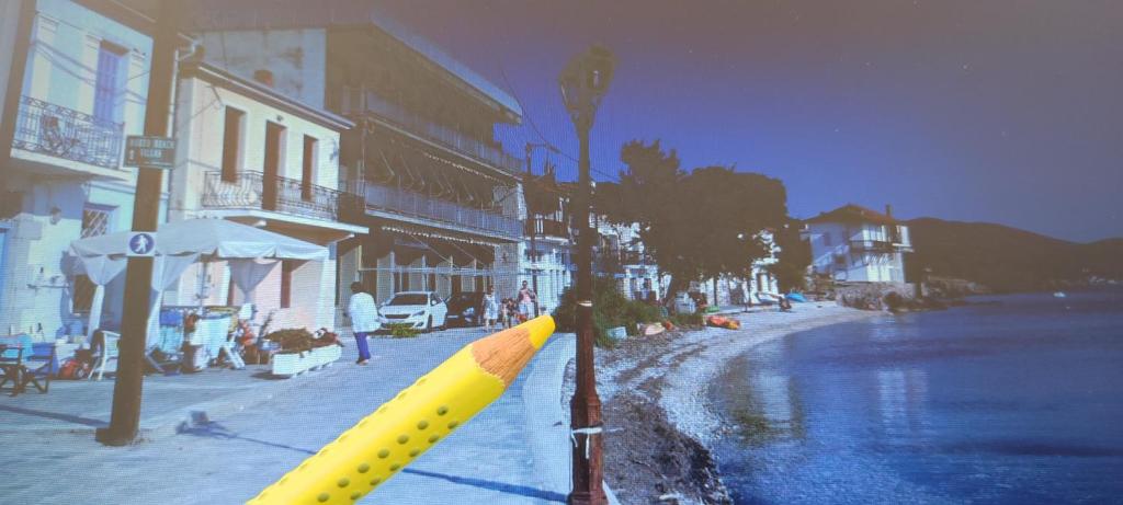 Epavli Sofia' s two Apartments in Horto, 30m from the sea photo 4