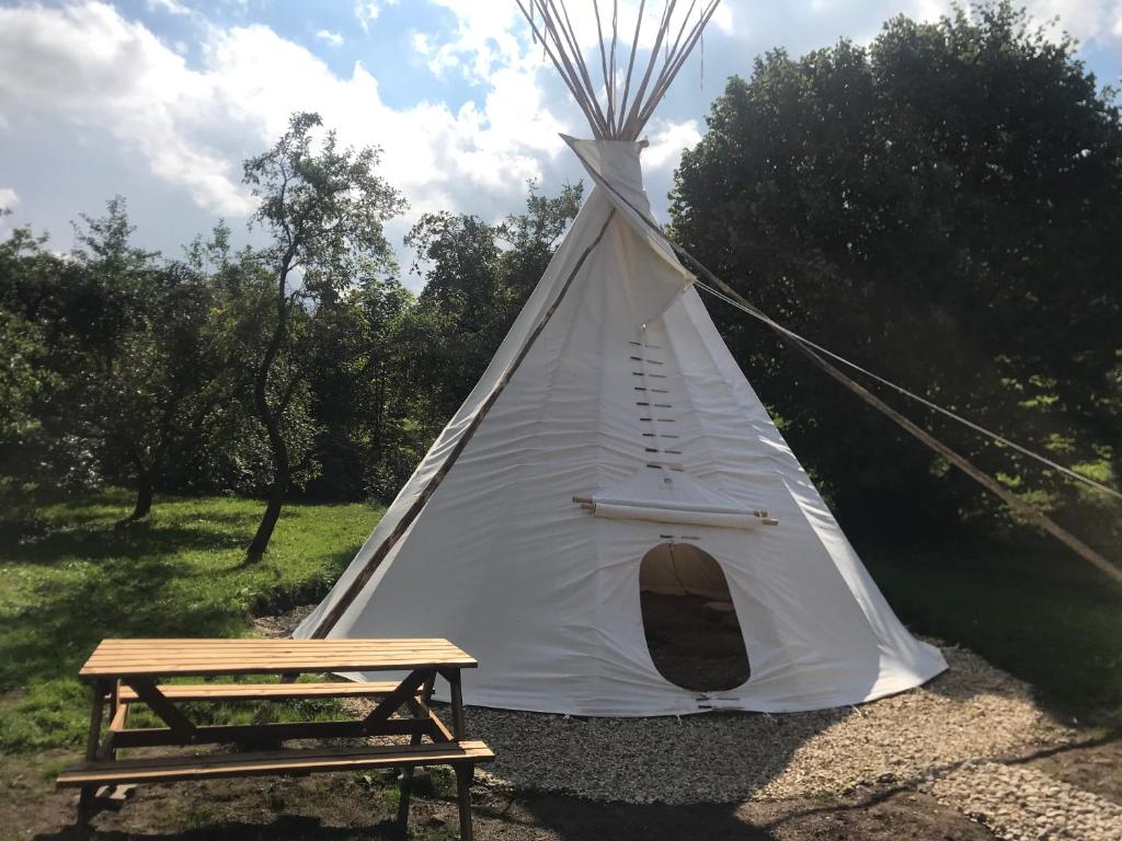 Glamping U Lesní víly photo 3