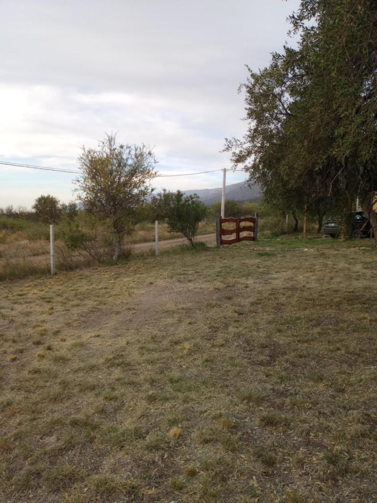 Branda photo 2