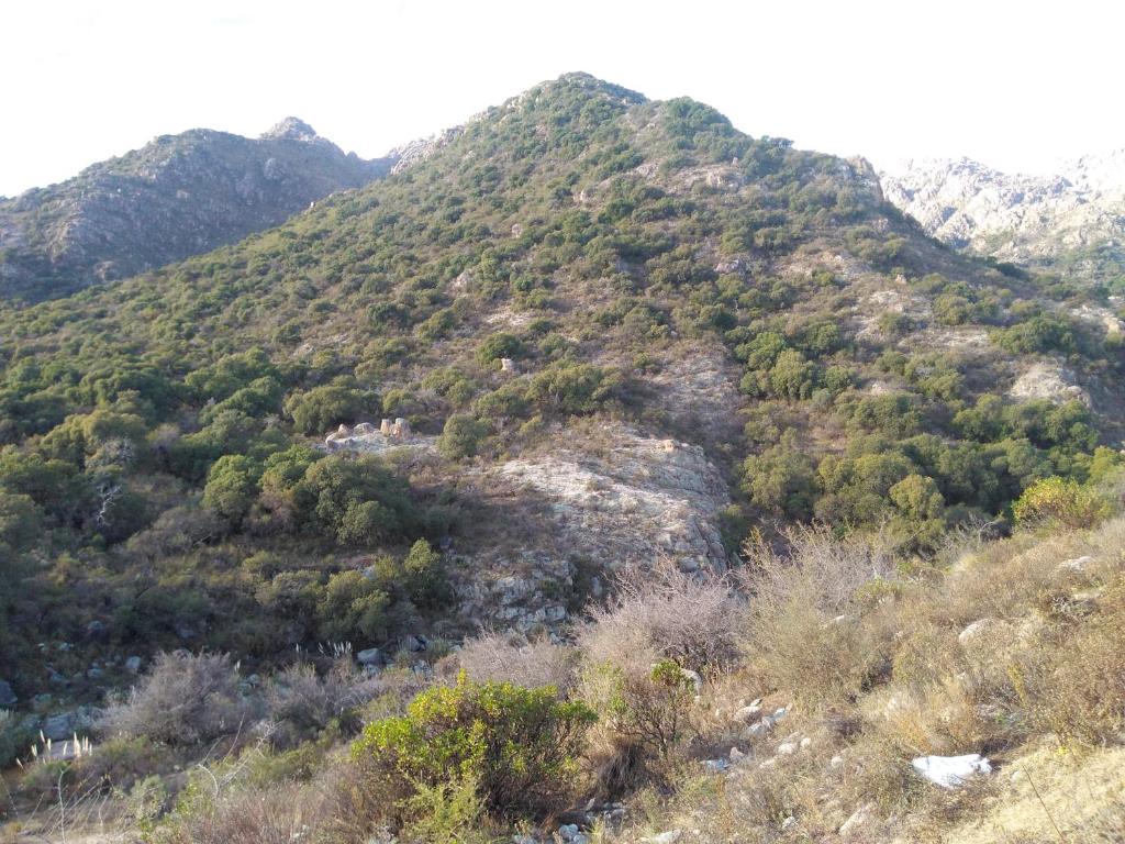 Branda photo 3