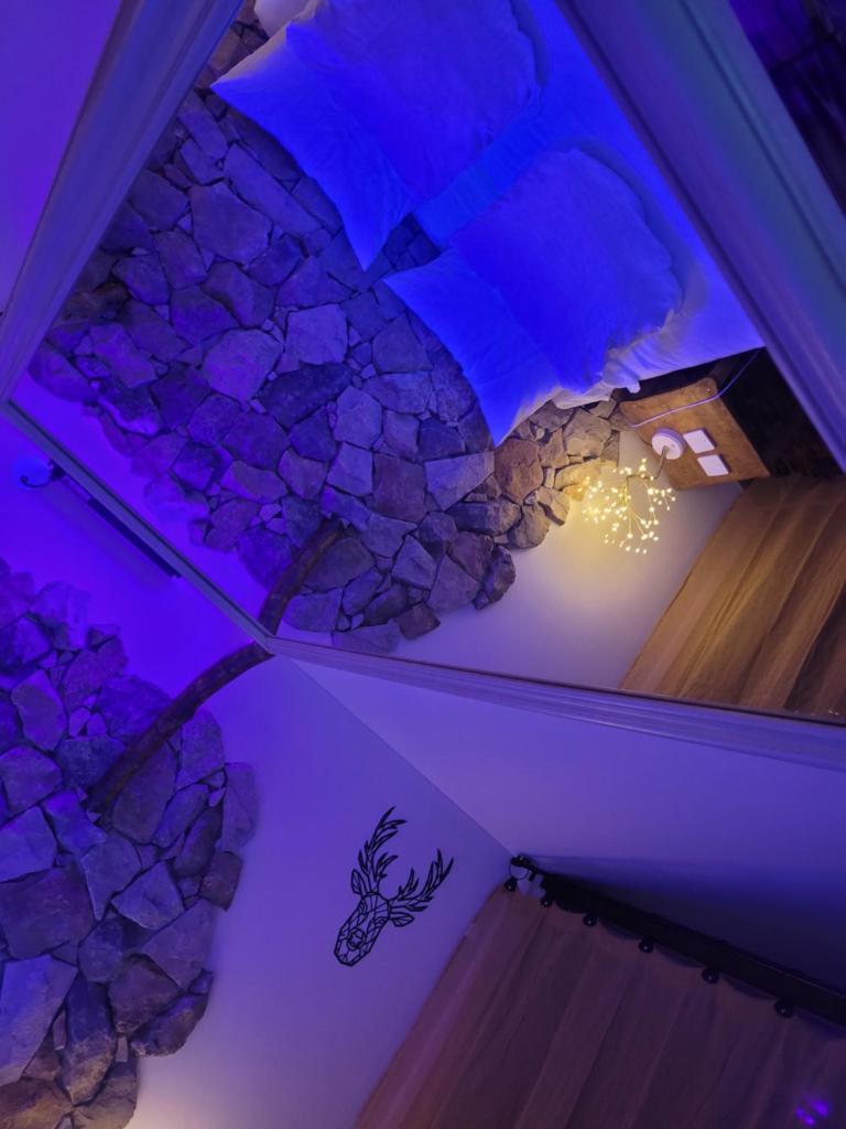 LOVE Room Danslesbois avec spa photo 2