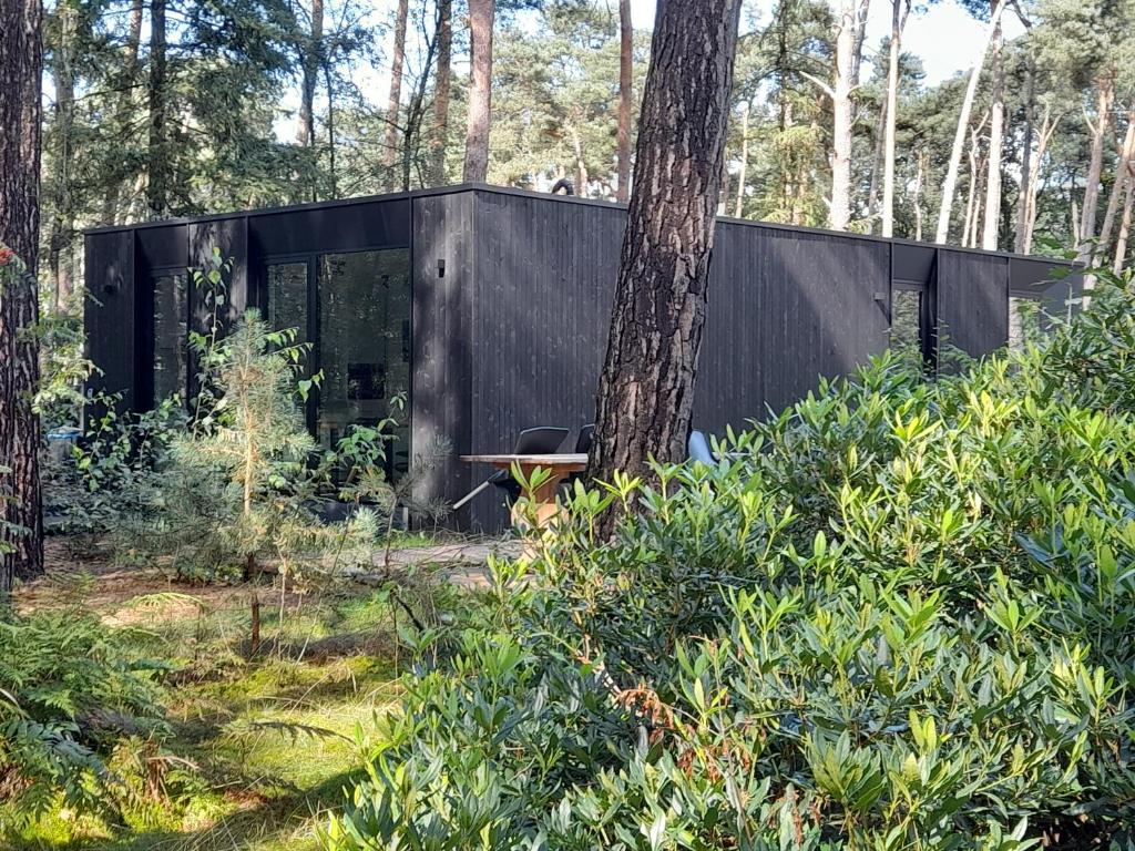 Black Box photo 1