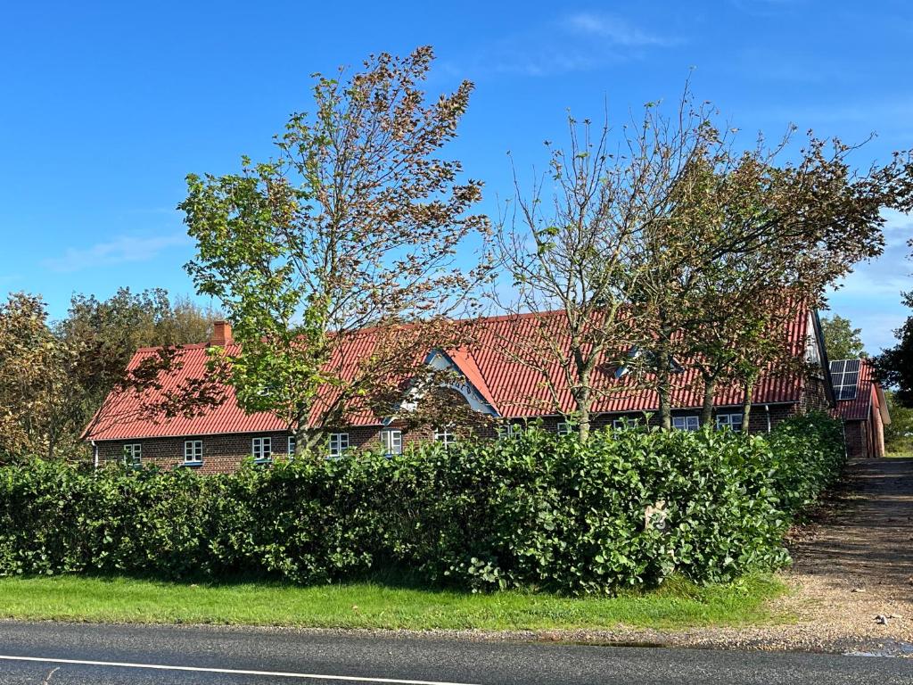 Smedegaard værelser photo 2