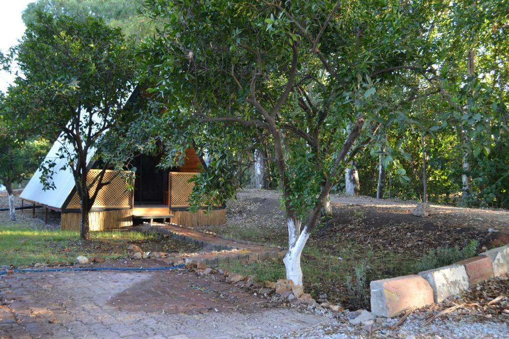 Asırlık Doğal Yaşam Köyü Camping photo 4