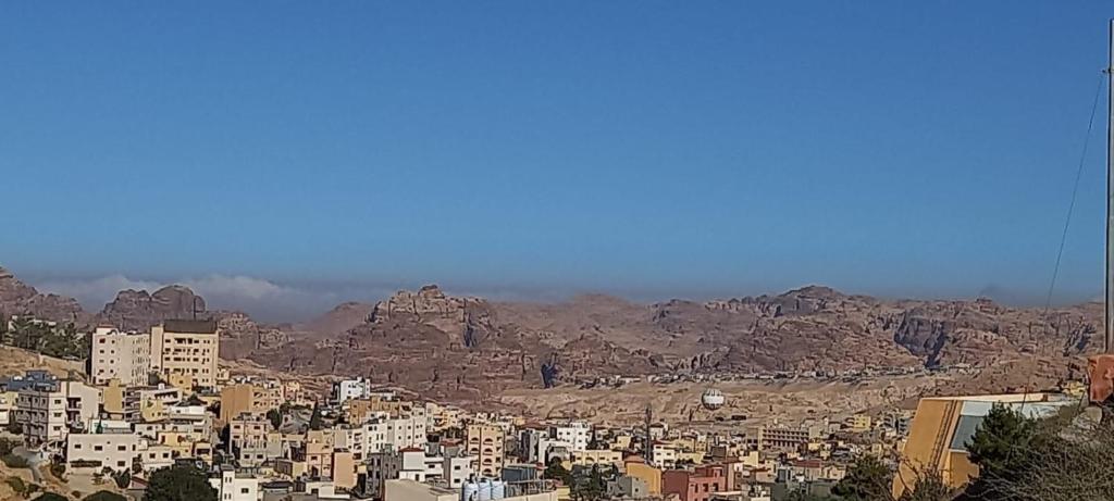 Petra Gardens photo 4