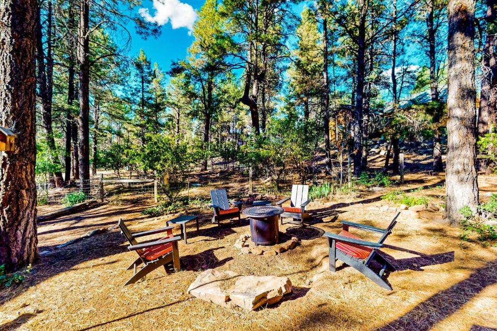 Cozy Bear Cabin- Main House photo 3