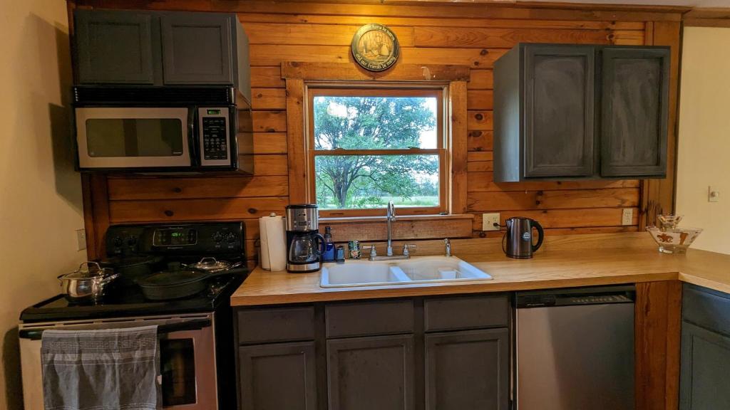 Modern Log House photo 1