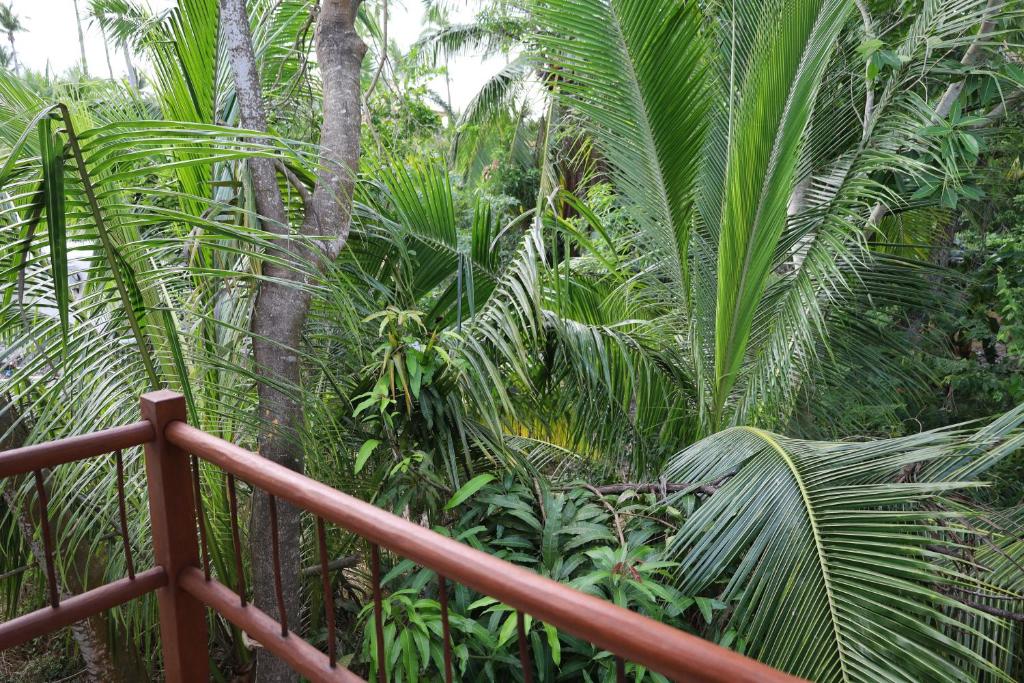 Solez Zihuatanejo photo 4