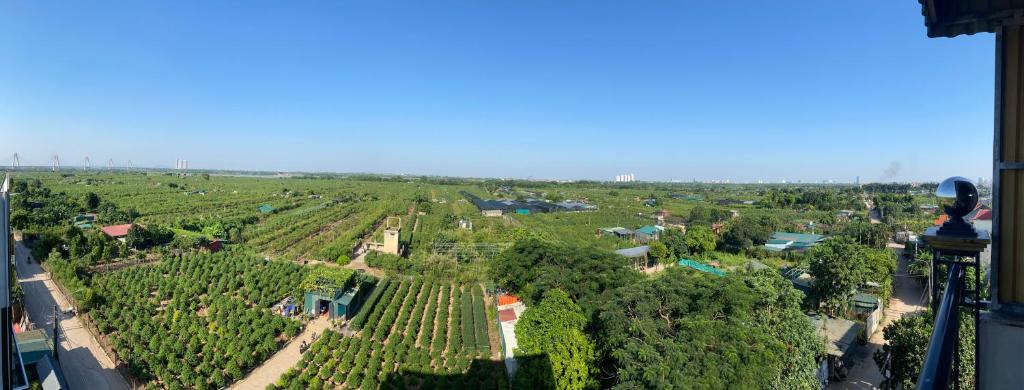 Panorama green view studio 5.1