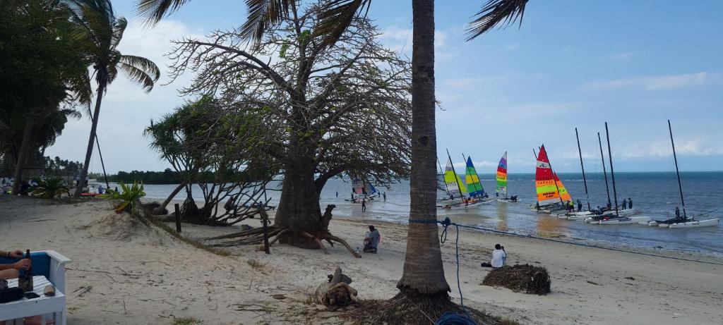 Funky Squids Beach Resort photo 3