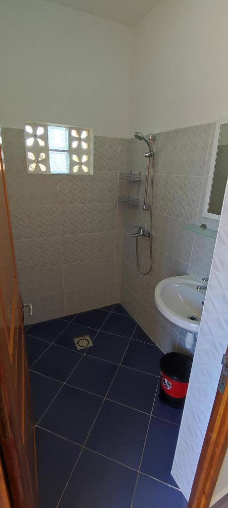 appartement Villa Nancy photo 4