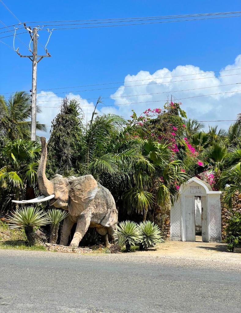 TEMBO VILLAGE