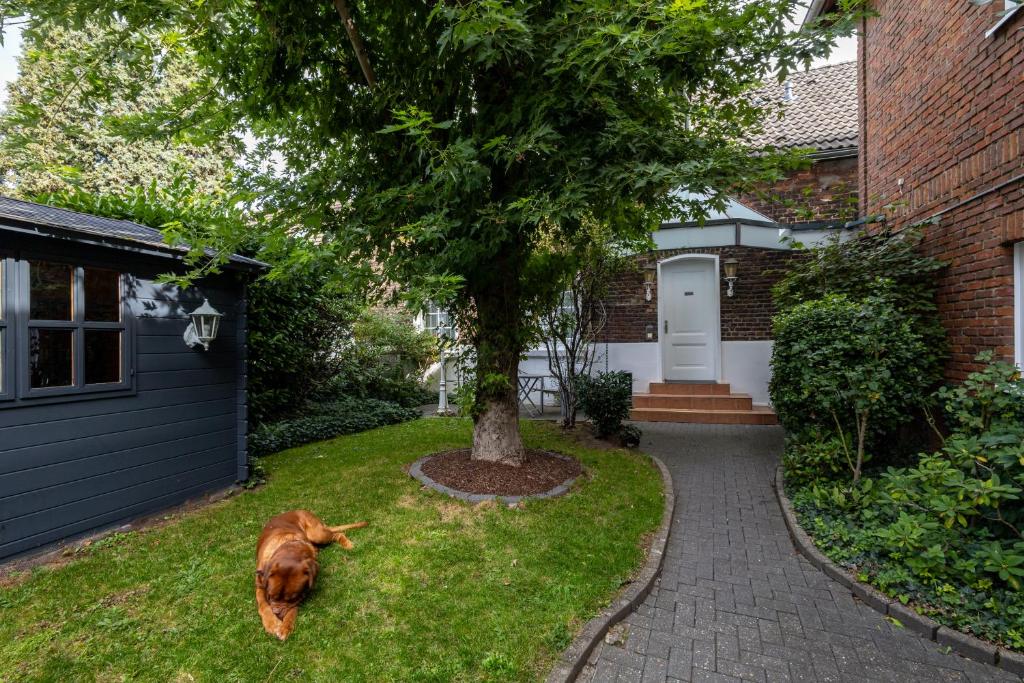 Hotel Fischerhaus - Tap to explore photos