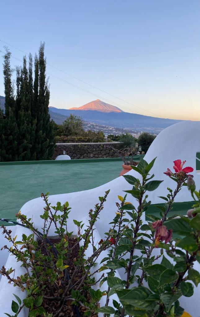 Finca Angelus Apartment Syrah with Amazing Views photo 4