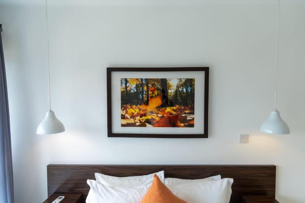 Exec 2 Bed Loft@Embassy Gardens photo 4