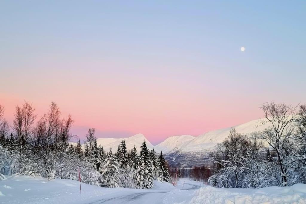 Hele utleiebolig Årøybuktneset photo 3