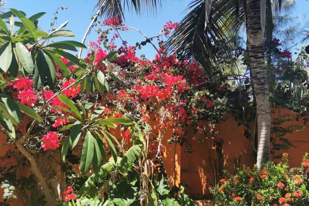 VILLA com Wi-Fi, cozinha, parking, Canoa Quebrada zona centro, jardim tropical, tudu prossimo a pe photo 4