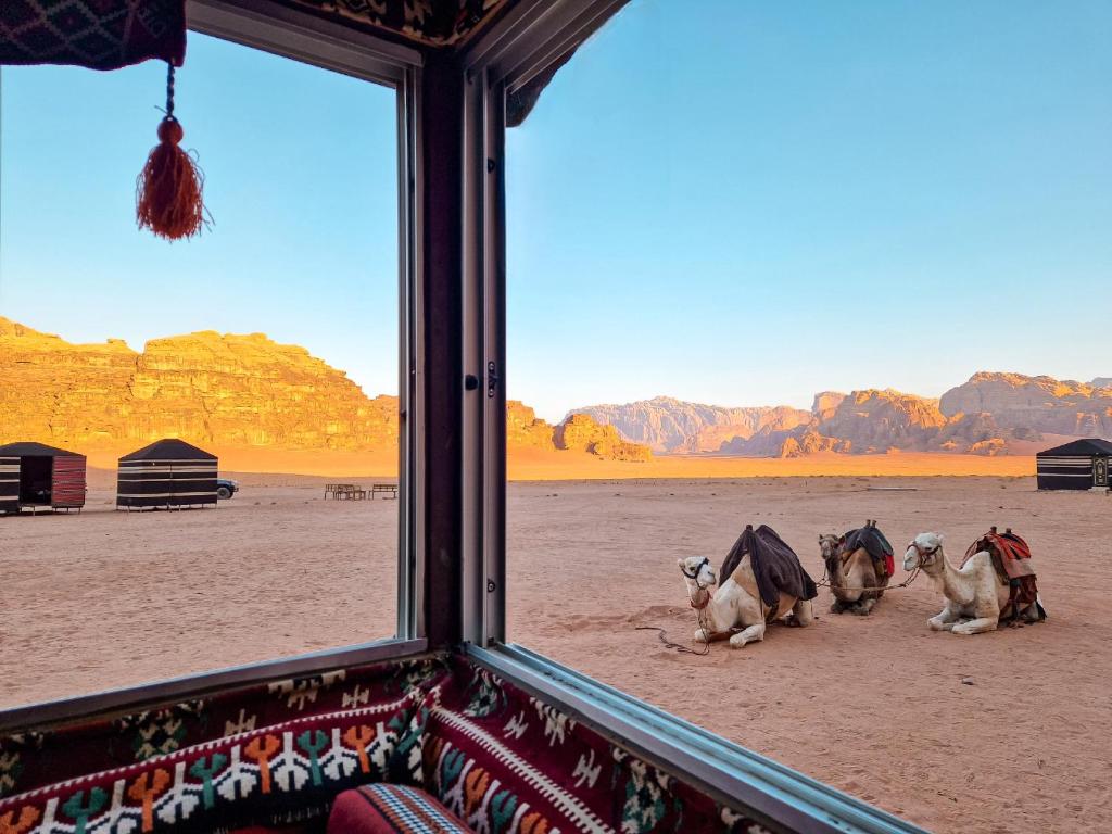 Star City Camp wadirum photo 4