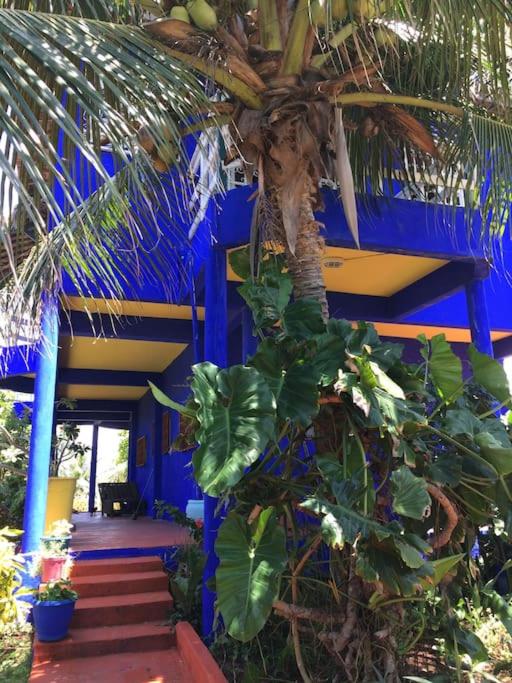 MERMAID HOUSE, casa charmoso, wifi, parking, jardim, cozinha, central CANOA QUEBRADA photo 3