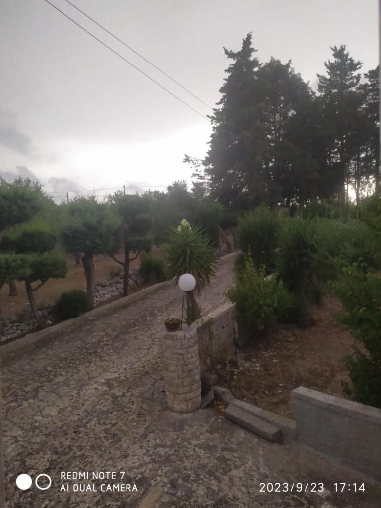 Villa Agnese photo 2
