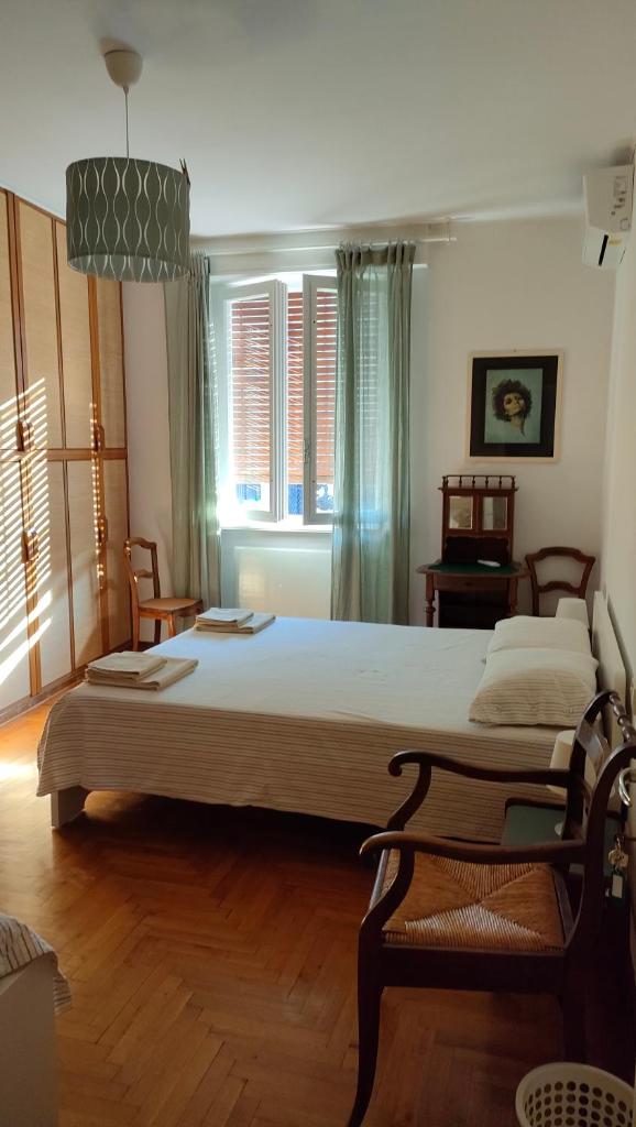B&B Velocipede photo 1