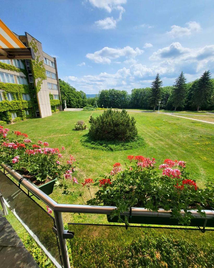 Harz Hotel Vogelberg photo 2