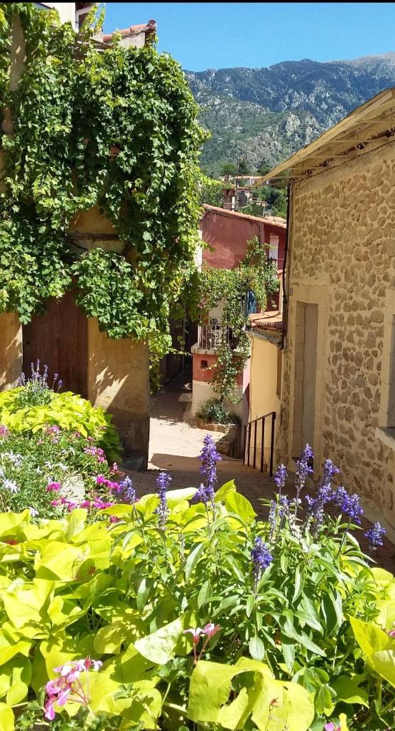 Little Pink House photo 1