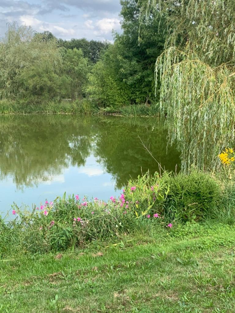 Holistica - Bien être photo 1