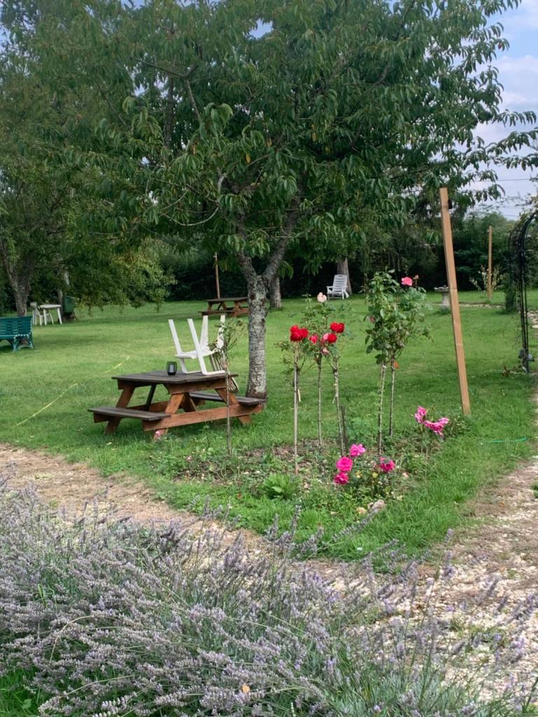 Holistica - Bien être photo 2