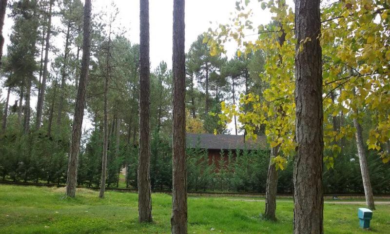 Camping Caravaning Cuenca photo 1