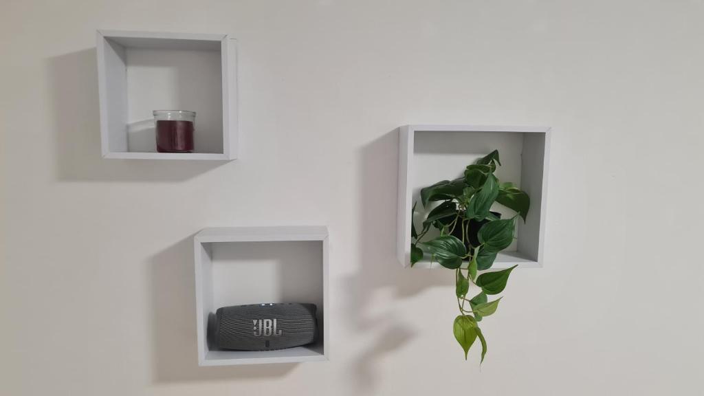 Apartman "Britanac" photo 4