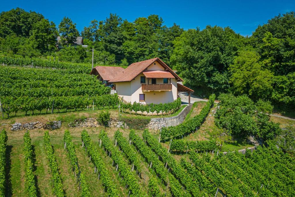 Vineyard Cottage Ucman - Happy Rentals