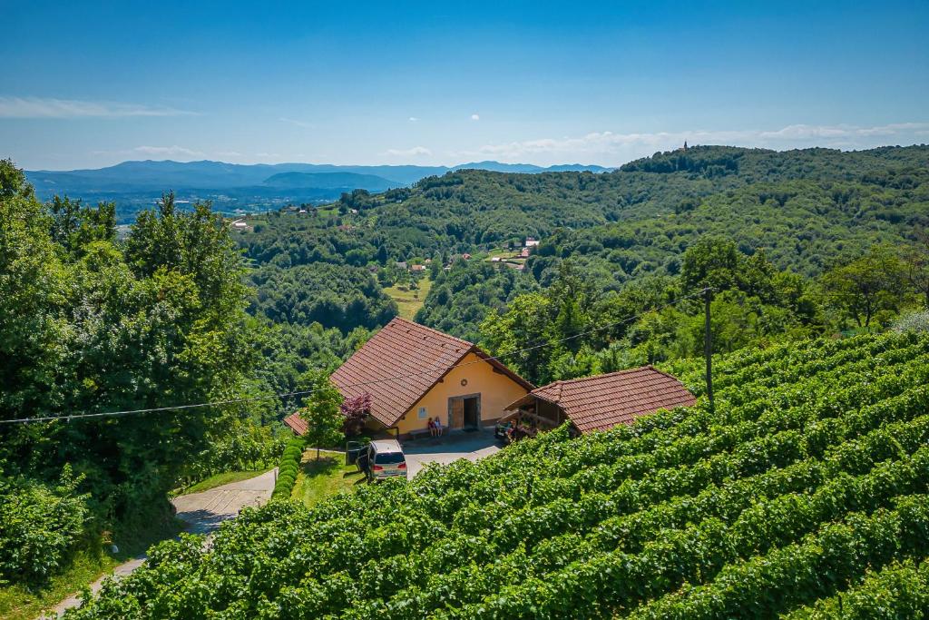 Vineyard Cottage Ucman - Happy Rentals photo 1
